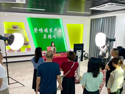 广东 互联网大省的强村网事与教育信息咨询服务